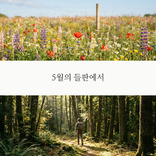 인스타 정사각 — 사진 사이에 한 줄