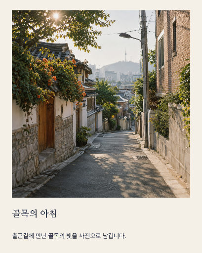사진가 작업 소개
