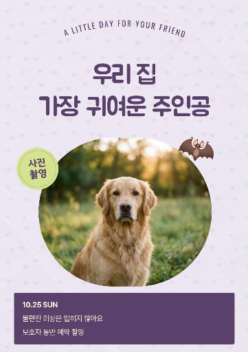 반려동물 코스튬 촬영