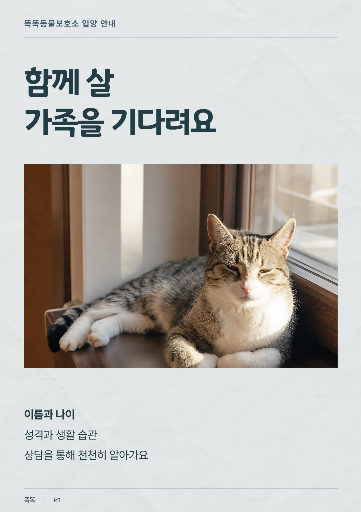 입양 가족 모집
