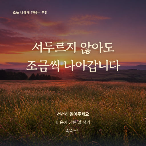 오늘의 문장 카드