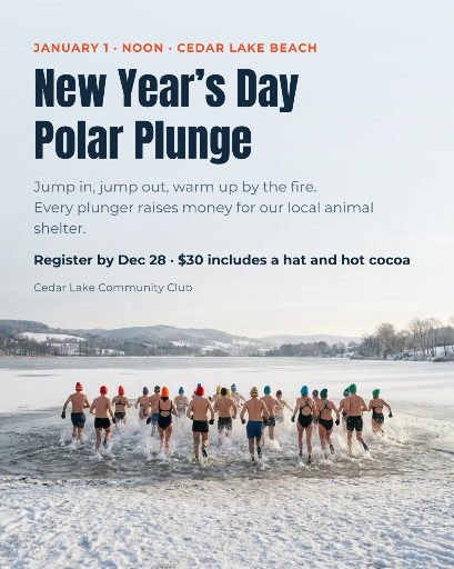 New Year’s Day polar plunge