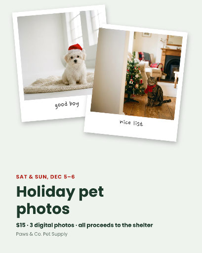Holiday pet photos