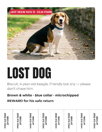 Lost dog flyer