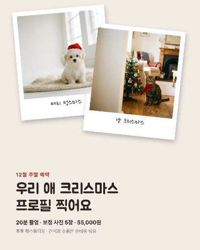반려동물 크리스마스 프로필 촬영