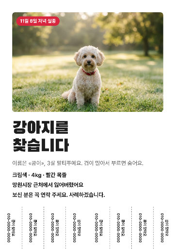 반려견을 찾습니다