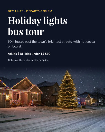 Holiday lights bus tour