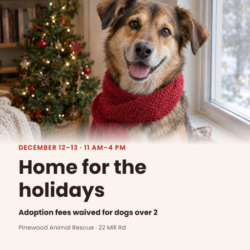 Holiday adoption event