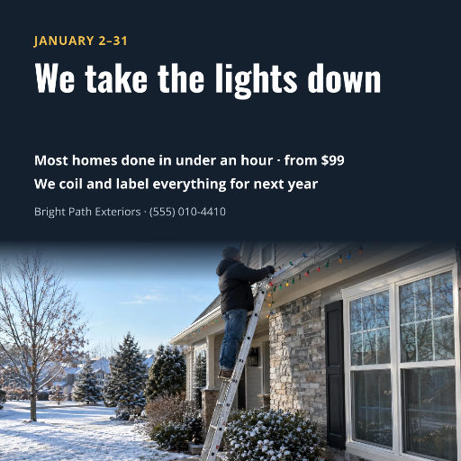 Holiday light take-down service