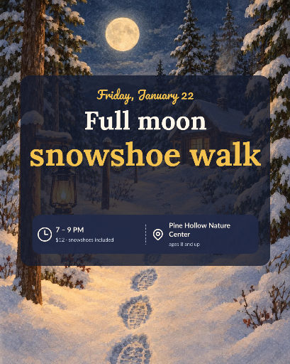 Full moon snowshoe walk