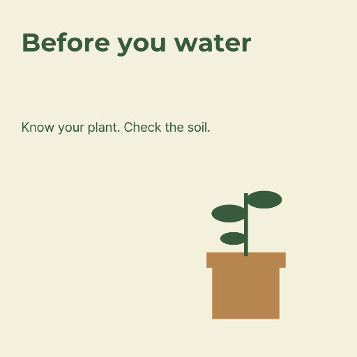 Winter houseplant care carousel