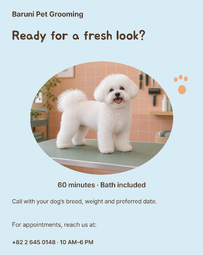 Dog grooming appointment guide