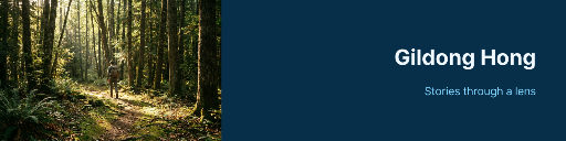 Photographer profile cover with forest image