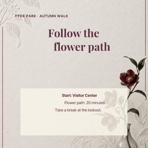 Cosmos flower walking route guide