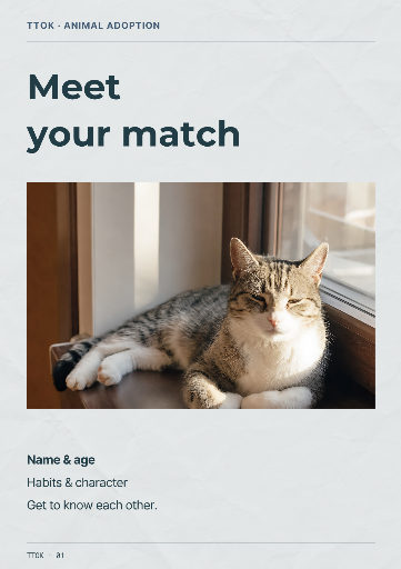 Cat adoption information